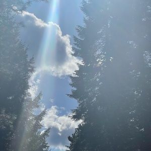 Meet your Posher, Alina